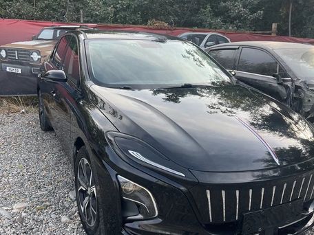 Hongqi E-QM5, 2021 — сүрөт 5