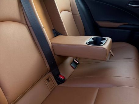 Lexus UX, 2019 — photo 12