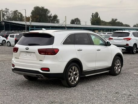 Kia Sorento, 2019 — фото 5