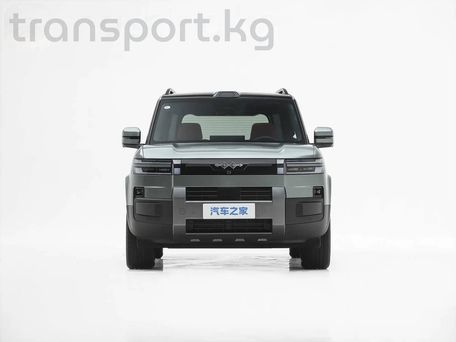 BYD Sea Lion 07, 2026 — photo 6
