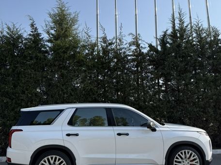 Hyundai Palisade, 2020 — 照片 2