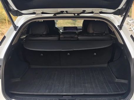 Lexus RX, 2019 — photo 11