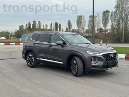 Hyundai Santa Fe, 2019 — фото 3
