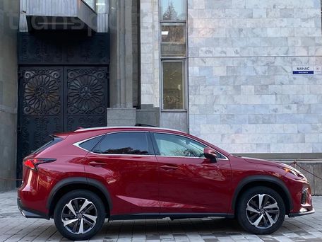 Lexus NX, 2018 — фото 5