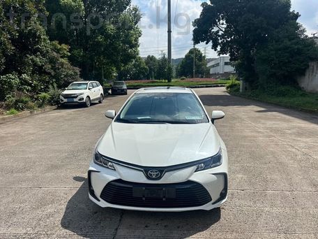 Toyota Corolla, 2019 — сүрөт 1