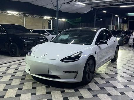 Tesla Model 3, 2023 — фото 2