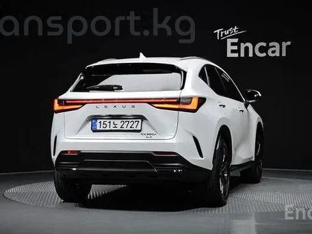 Lexus NX, 2025 — сүрөт 4