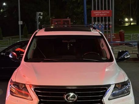 Lexus LX, 2009 — 照片 3