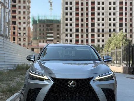 Lexus NX, 2023 — фото 2