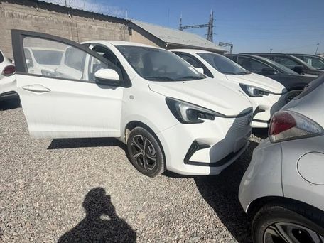 Changan Benben E-Star, 2024