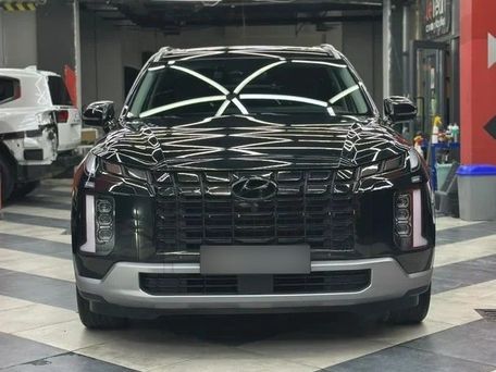 Hyundai Palisade, 2024