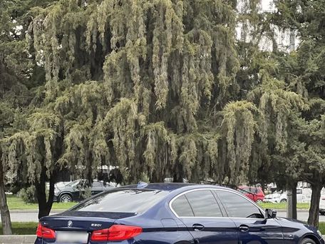 BMW 5 серии, 2020 — photo 6
