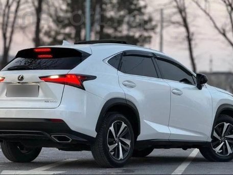 Lexus NX, 2021 — фото 2