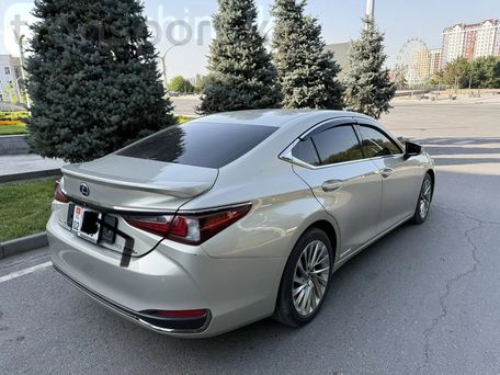 Lexus ES, 2019 — 照片 7