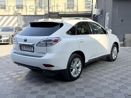 Lexus RX, 2009 — сүрөт 4