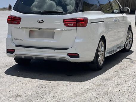 Kia Carnival, 2020 — фото 1