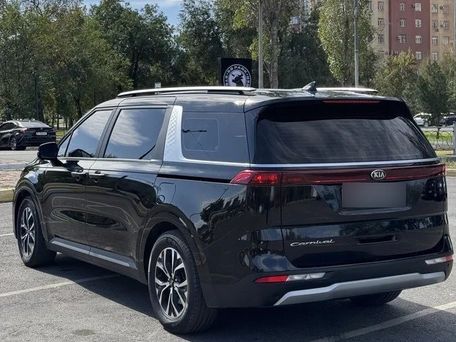 Kia Carnival, 2020 — фото 6