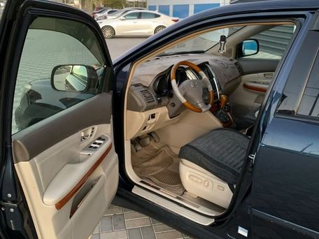Lexus RX, 2003 — 照片 14