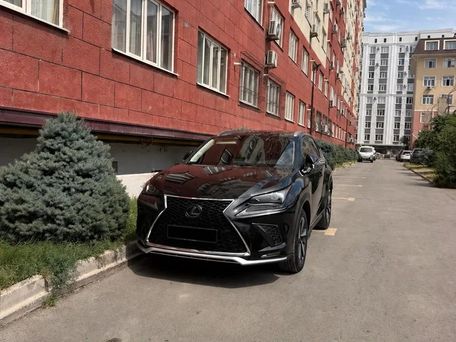 Lexus NX, 2019 — сүрөт 2
