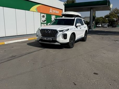 Hyundai Palisade, 2020 — 照片 2