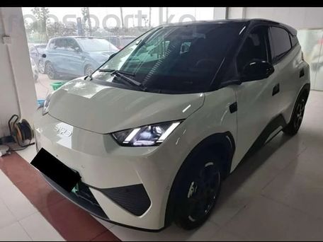 BYD Seagull, 2026