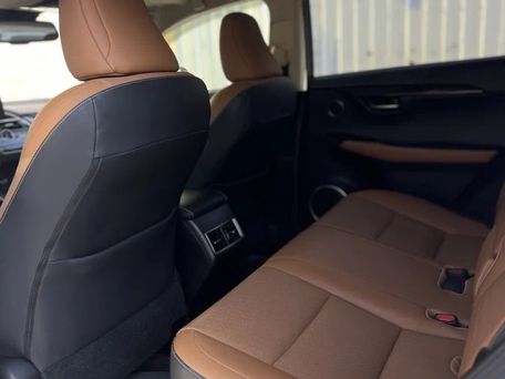 Lexus NX, 2018 — сүрөт 9