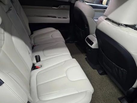 Hyundai Palisade, 2020 — photo 11