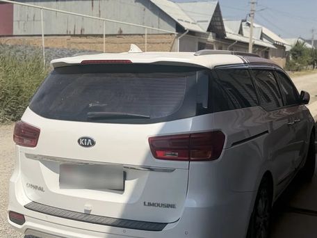 Kia Carnival, 2019 — сүрөт 3