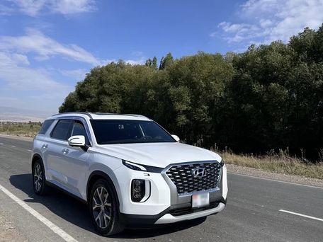Hyundai Palisade, 2021 — фото 1