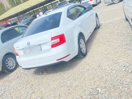 Skoda Octavia, 2018 — фото 4