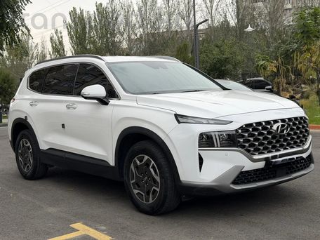 Hyundai Santa Fe, 2022 — photo 3
