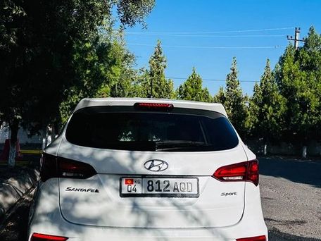 Hyundai Santa Fe, 2018 — фото 3