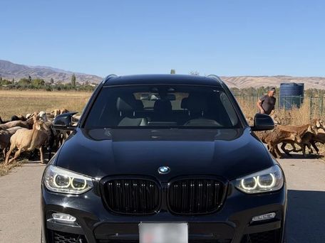 BMW X3, 2018 — фото 1