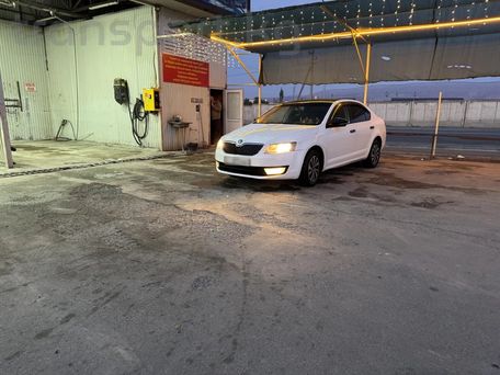 Skoda Octavia, 2016 — 照片 2