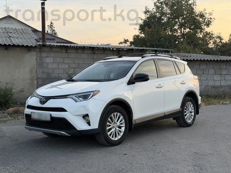 Toyota RAV4, 2017 — фото 1