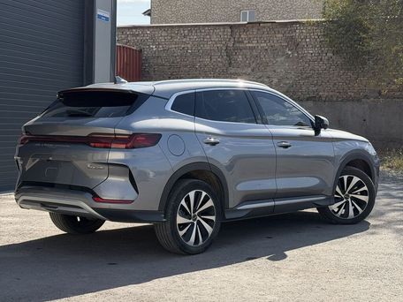 BYD Song Plus, 2023 — 照片 4