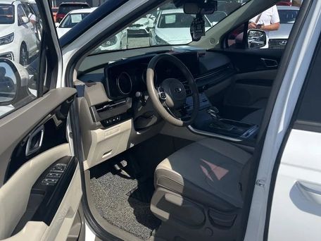 Kia Carnival, 2020 — photo 7
