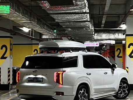 Hyundai Palisade, 2020 — 照片 1
