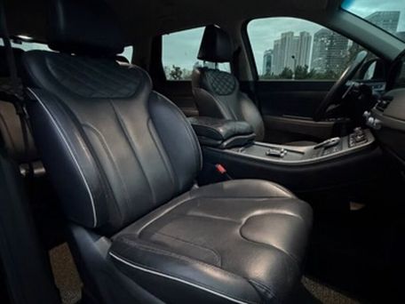 Hyundai Palisade, 2020 — 照片 16