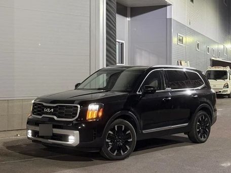 Kia Telluride, 2023 — фото 2