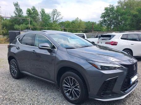 Lexus NX, 2024 — сүрөт 5