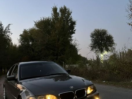 BMW 3 серии, 2003 — 照片 10