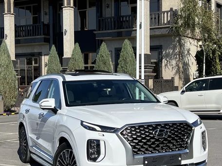Hyundai Palisade, 2020 — сүрөт 1