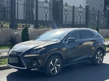 Lexus NX, 2021 — фото 4