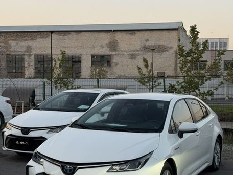 Toyota Corolla, 2023 — photo 1