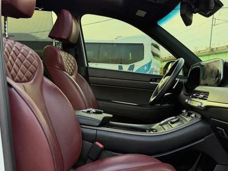 Hyundai Palisade, 2020 — photo 5