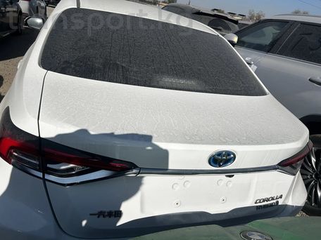 Toyota Corolla, 2023 — 照片 10