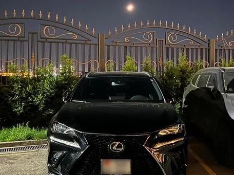 Lexus NX, 2019