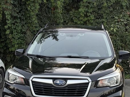 Subaru Forester, 2019 — фото 6