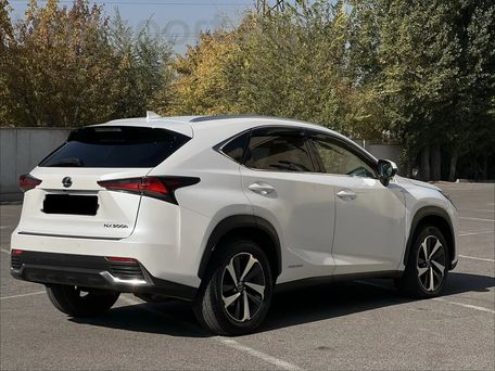 Lexus NX, 2018 — сүрөт 5